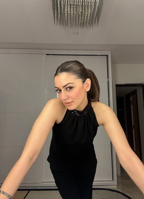 சிங்கிளாக எஞ்சாய் செய்யும் ஹன்சிகாவின் அழகிய போட்டோஸ்